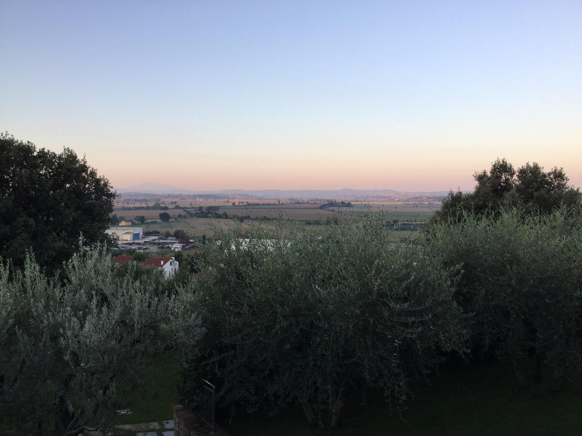 Agriturismo Borgo Tra Gli Olivi Castiglion Fiorentino Exterior foto