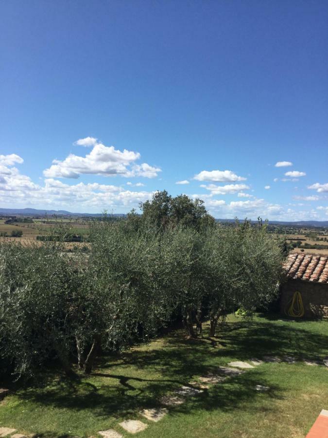 Agriturismo Borgo Tra Gli Olivi Castiglion Fiorentino Exterior foto